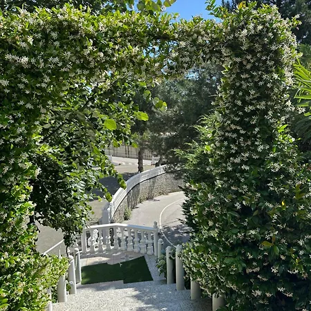 Hotel Bar Restaurant Real Bajram Curri