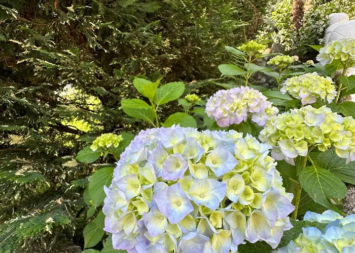 Bar Restaurant Real Hotel Bajram Curri