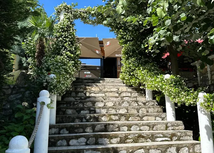 Bar Restaurant Real * Bajram Curri